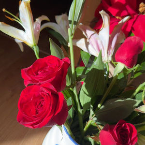 Meet your Posher, Brissa_